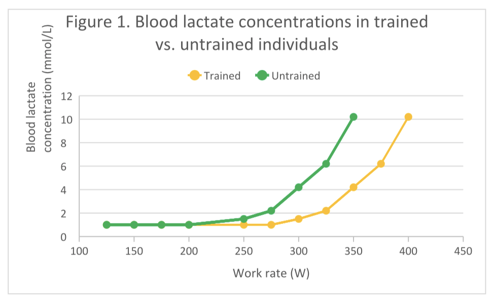 Lactate Threshold Feel The Burn Www stellafly lactate-threshold-feel-the-burn-www-stellafly